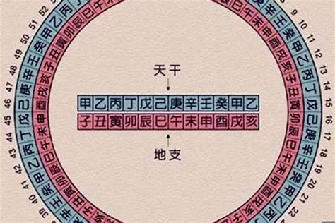 今年五行|今年是什么年天干地支 今年是什么年庚